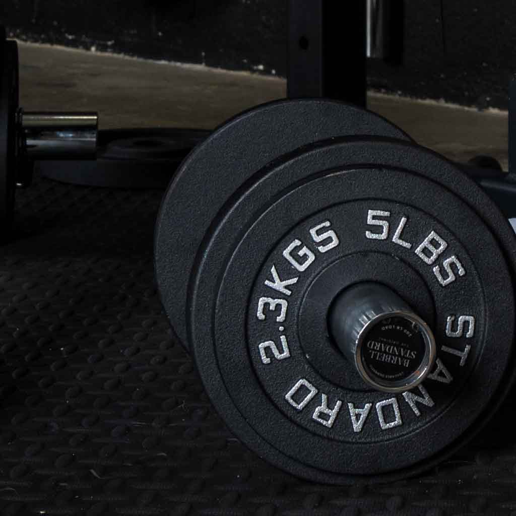 Barbell Standard 5 lb 2.3 kg iron weight plates loaded on dumbbell handle for strength training