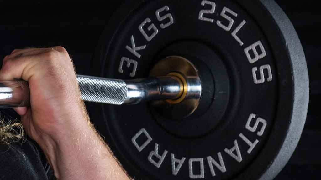 Barbell Standard EZ curl bar with knurled grip and 25 lb weight plates in action during bicep curl exercise
